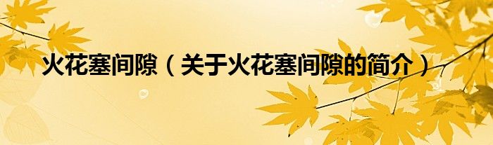 火花塞間隙（關于火花塞間隙的簡介）