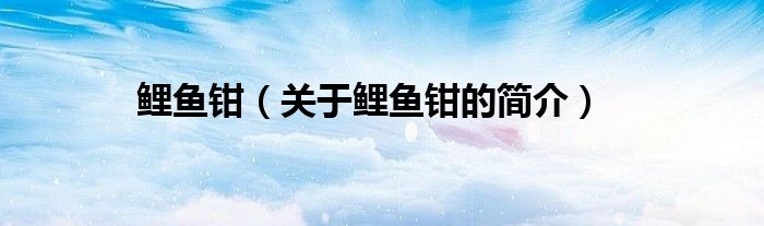 鯉魚鉗（關于鯉魚鉗的簡介）