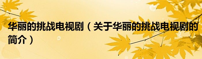 華麗的挑戰(zhàn)電視?。P于華麗的挑戰(zhàn)電視劇的簡介）