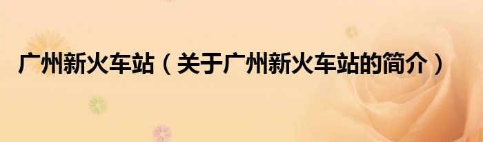 廣州新火車站（關(guān)于廣州新火車站的簡(jiǎn)介）
