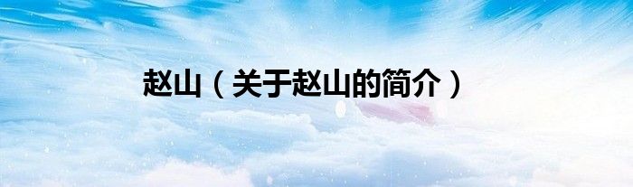 趙山（關(guān)于趙山的簡介）
