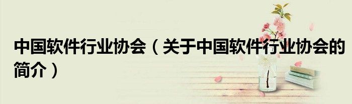 中國軟件行業(yè)協(xié)會(huì)（關(guān)于中國軟件行業(yè)協(xié)會(huì)的簡(jiǎn)介）