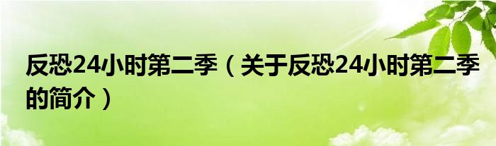 反恐24小時第二季（關(guān)于反恐24小時第二季的簡介）