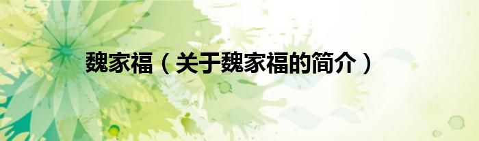 魏家福（關(guān)于魏家福的簡(jiǎn)介）