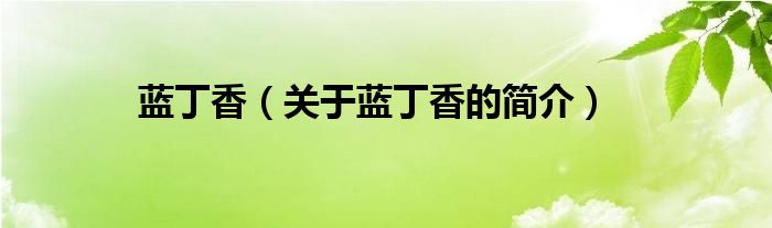 藍(lán)丁香（關(guān)于藍(lán)丁香的簡(jiǎn)介）