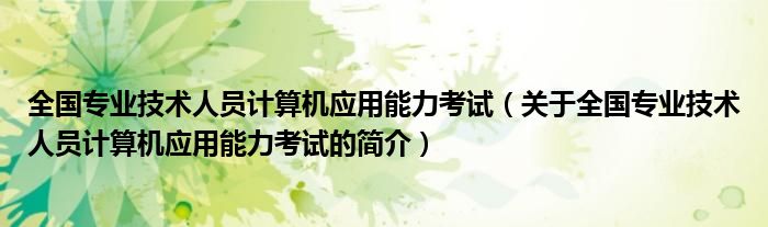 全國專業(yè)技術人員計算機應用能力考試（關于全國專業(yè)技術人員計算機應用能力考試的簡介）