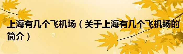 上海有幾個(gè)飛機(jī)場（關(guān)于上海有幾個(gè)飛機(jī)場的簡介）