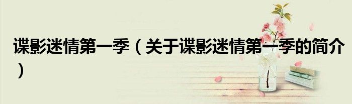 諜影迷情第一季（關(guān)于諜影迷情第一季的簡(jiǎn)介）