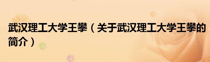 武漢理工大學王攀（關(guān)于武漢理工大學王攀的簡介）