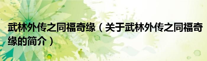 武林外傳之同福奇緣（關于武林外傳之同福奇緣的簡介）