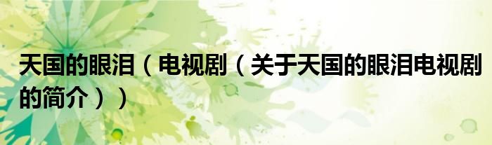 天國的眼淚（電視?。P(guān)于天國的眼淚電視劇的簡介））