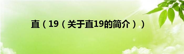 直（19（關于直19的簡介））