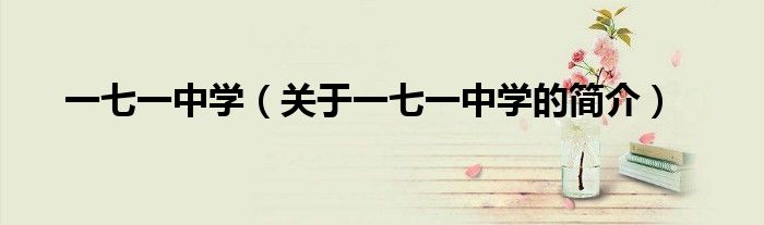 一七一中學（關(guān)于一七一中學的簡介）