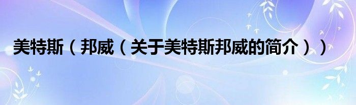 美特斯（邦威（關(guān)于美特斯邦威的簡介））