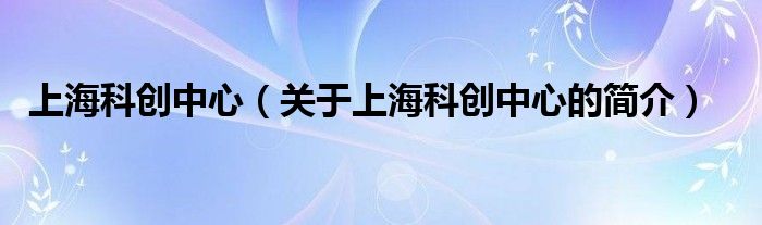 上?？苿?chuàng)中心（關(guān)于上?？苿?chuàng)中心的簡介）