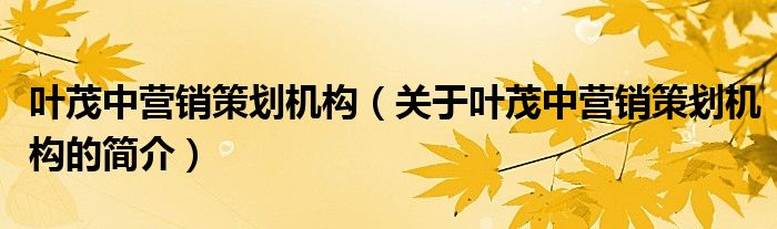 葉茂中營(yíng)銷(xiāo)策劃?rùn)C(jī)構(gòu)（關(guān)于葉茂中營(yíng)銷(xiāo)策劃?rùn)C(jī)構(gòu)的簡(jiǎn)介）