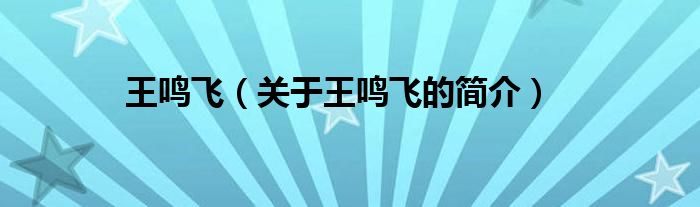 王鳴飛（關(guān)于王鳴飛的簡(jiǎn)介）