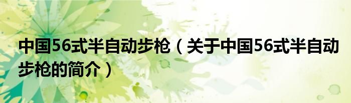 中國(guó)56式半自動(dòng)步槍（關(guān)于中國(guó)56式半自動(dòng)步槍的簡(jiǎn)介）