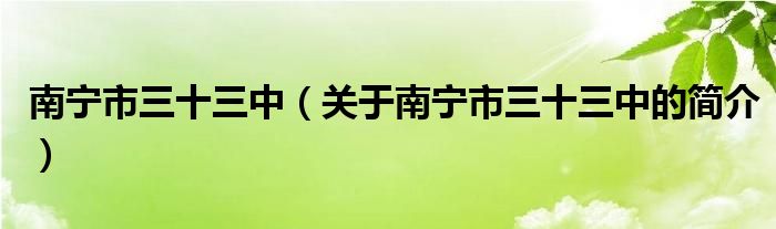 南寧市三十三中（關于南寧市三十三中的簡介）