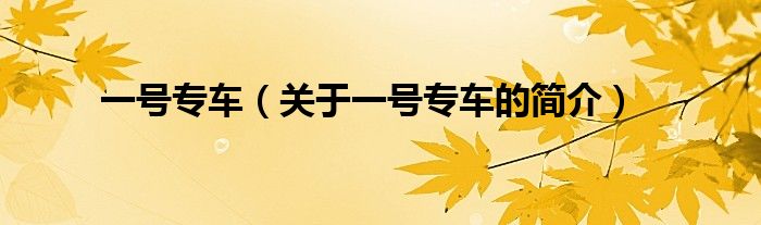 一號專車（關于一號專車的簡介）