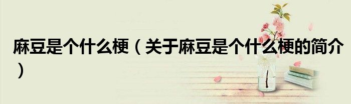 麻豆是個什么梗（關于麻豆是個什么梗的簡介）