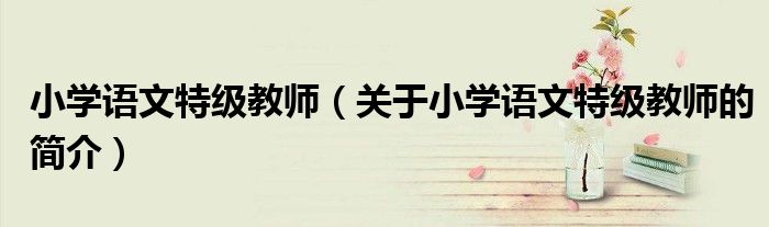 小學(xué)語文特級(jí)教師（關(guān)于小學(xué)語文特級(jí)教師的簡介）