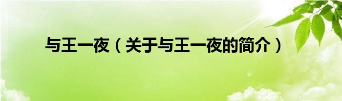 與王一夜（關于與王一夜的簡介）