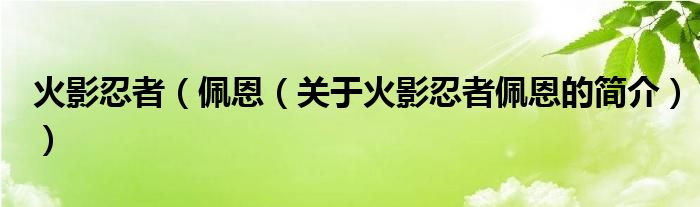 火影忍者（佩恩（關(guān)于火影忍者佩恩的簡(jiǎn)介））