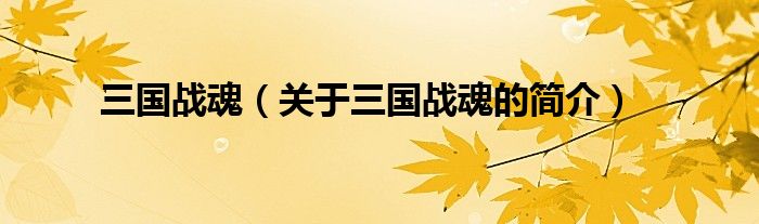 三國戰(zhàn)魂（關(guān)于三國戰(zhàn)魂的簡介）