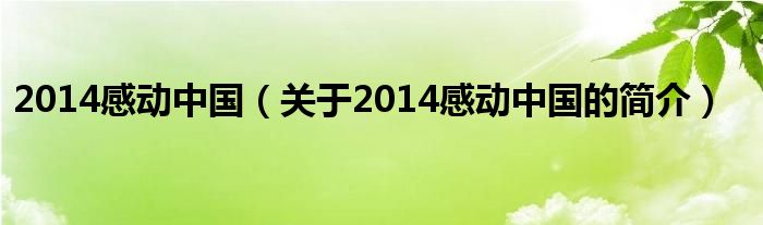 2014感動中國（關于2014感動中國的簡介）