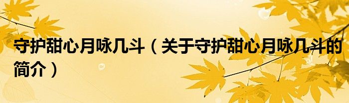 守護甜心月詠幾斗（關(guān)于守護甜心月詠幾斗的簡介）