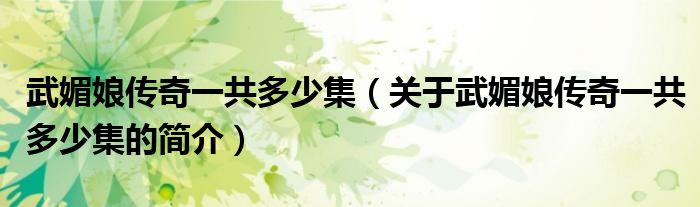 武媚娘傳奇一共多少集（關(guān)于武媚娘傳奇一共多少集的簡介）