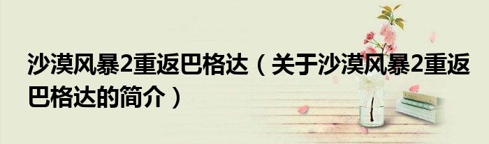 沙漠風(fēng)暴2重返巴格達(dá)（關(guān)于沙漠風(fēng)暴2重返巴格達(dá)的簡(jiǎn)介）