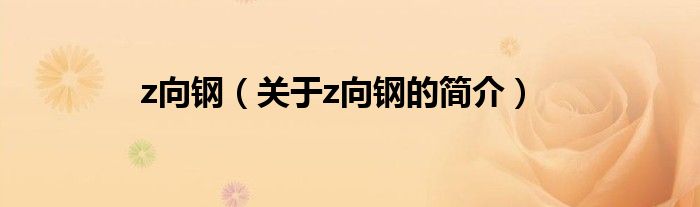 z向鋼（關于z向鋼的簡介）