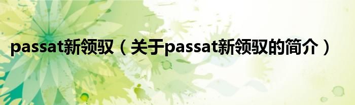 passat新領(lǐng)馭（關(guān)于passat新領(lǐng)馭的簡(jiǎn)介）