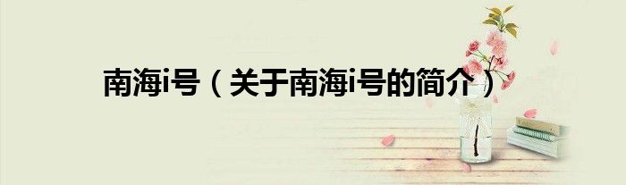 南海i號（關于南海i號的簡介）