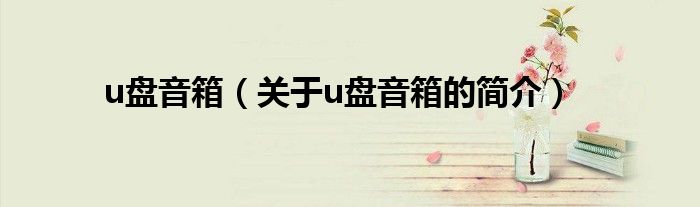 u盤音箱（關(guān)于u盤音箱的簡(jiǎn)介）