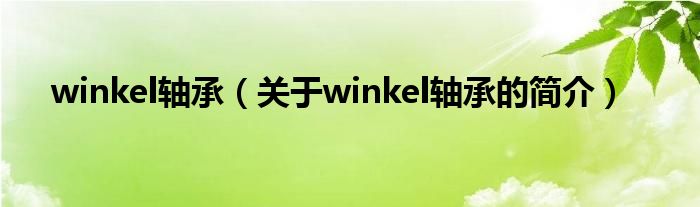 winkel軸承（關(guān)于winkel軸承的簡(jiǎn)介）