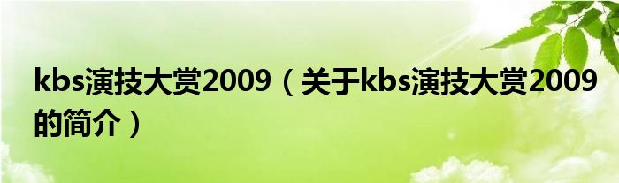 kbs演技大賞2009（關(guān)于kbs演技大賞2009的簡(jiǎn)介）