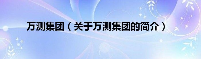 萬(wàn)測(cè)集團(tuán)（關(guān)于萬(wàn)測(cè)集團(tuán)的簡(jiǎn)介）