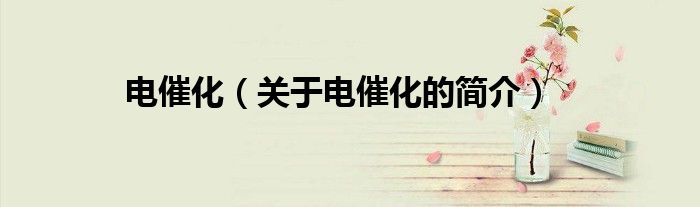 電催化（關(guān)于電催化的簡介）