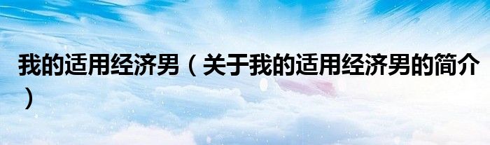 我的適用經(jīng)濟男（關(guān)于我的適用經(jīng)濟男的簡介）