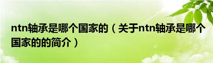 ntn軸承是哪個國家的（關于ntn軸承是哪個國家的的簡介）