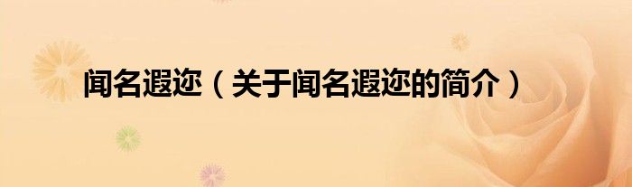 聞名遐邇（關于聞名遐邇的簡介）