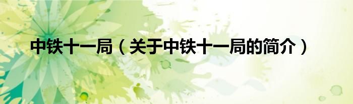 中鐵十一局（關于中鐵十一局的簡介）