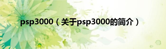 psp3000（關(guān)于psp3000的簡(jiǎn)介）