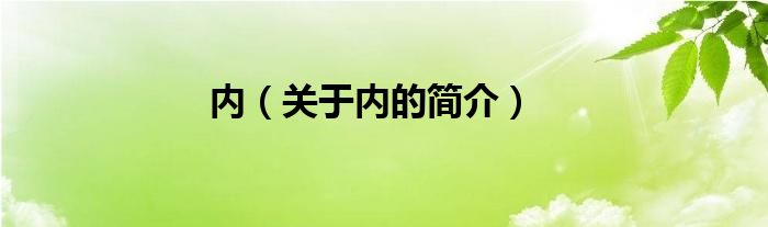 內(nèi)（關于內(nèi)的簡介）