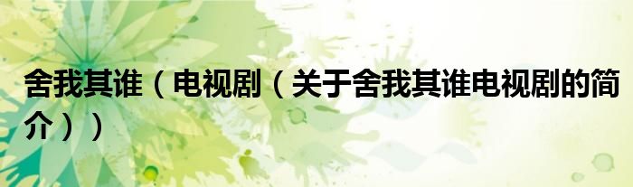 舍我其誰（電視?。P于舍我其誰電視劇的簡介））