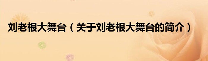 劉老根大舞臺（關于劉老根大舞臺的簡介）