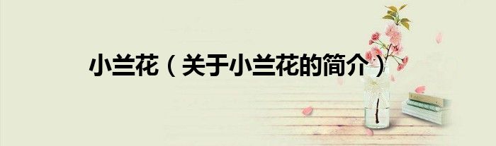小蘭花（關(guān)于小蘭花的簡(jiǎn)介）